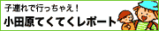 小田原てくてくレポート