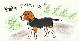 参道のアイドル犬