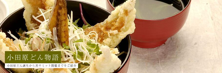 小田原どん物語
