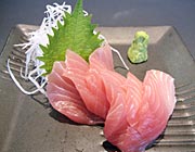 鮪
