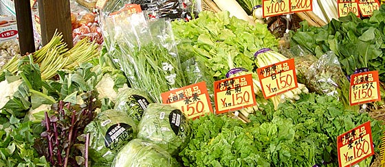 野菜
