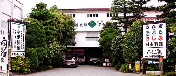 全景