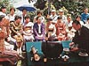 大茶会