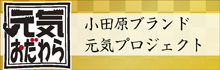 小田原ブランド元気プロジェクト