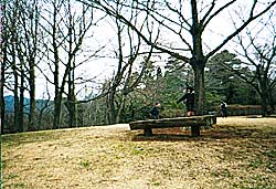 ピクニック広場