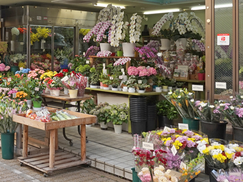 花屋さん