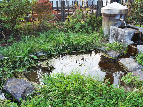 富水の池