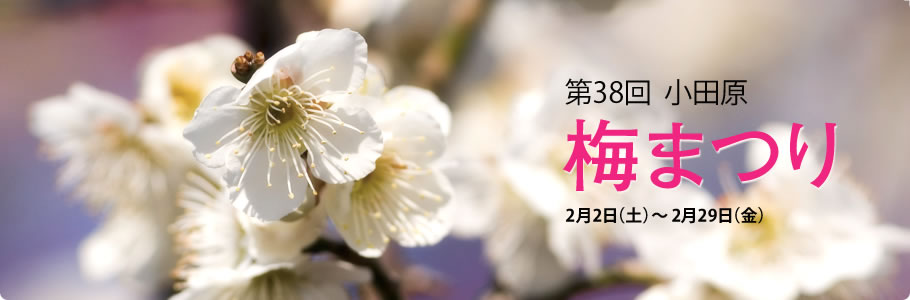 梅まつり